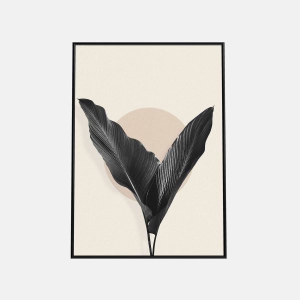 Harmonie de Feuilles