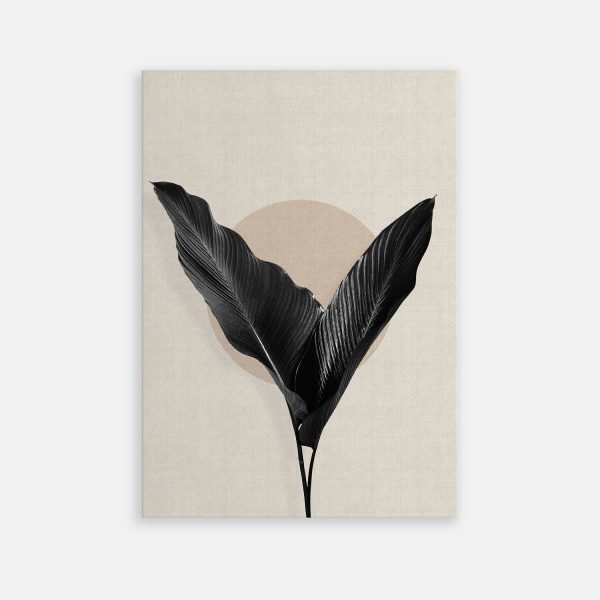 Harmonie de Feuilles