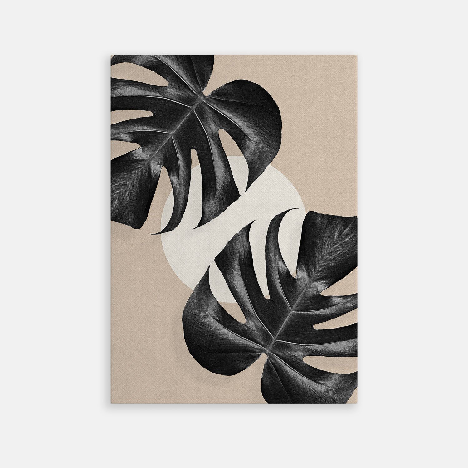 Sérénité en Beige