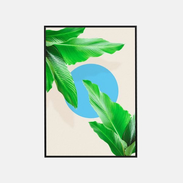 Summer Palm 5
