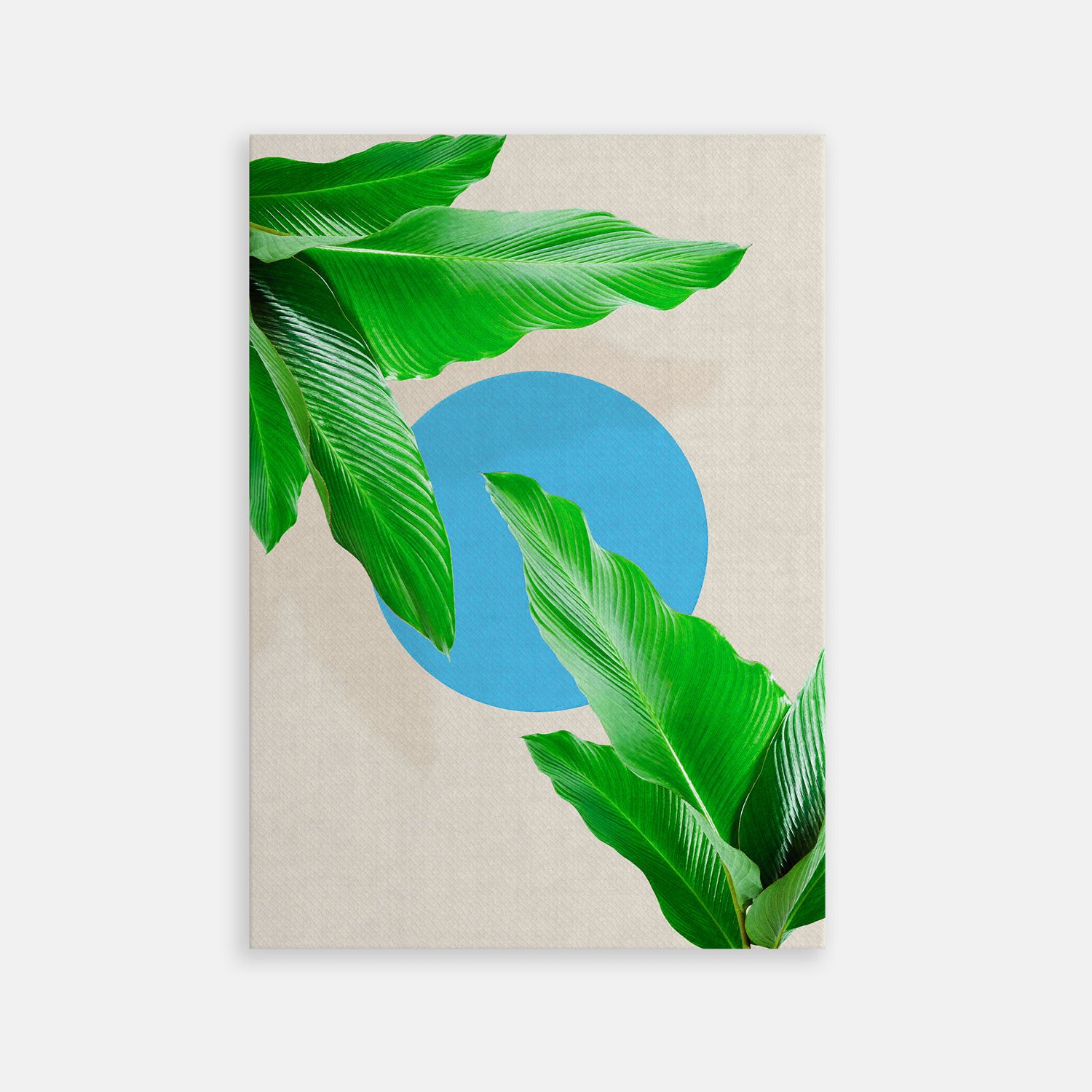 TAB00087-TOILE Summer Palm 5