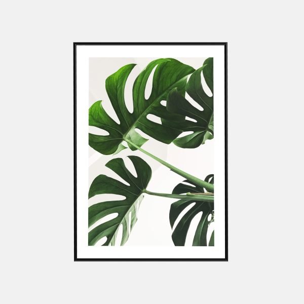 TAB00124-POSTER-2 Palms