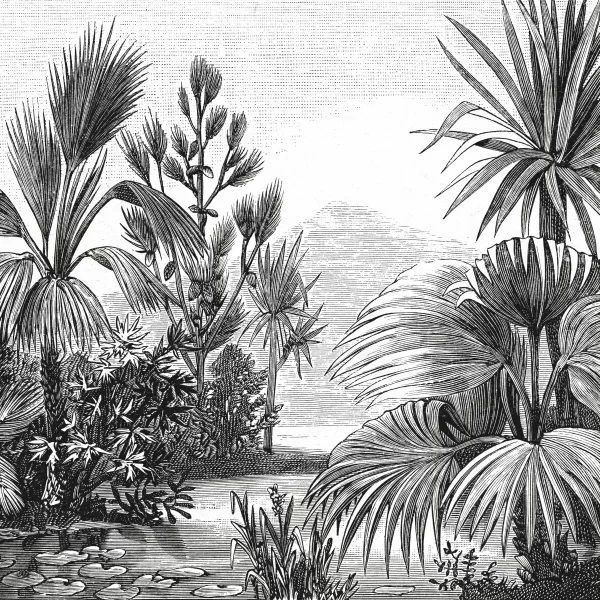 Papier Peint Vintage Jungle