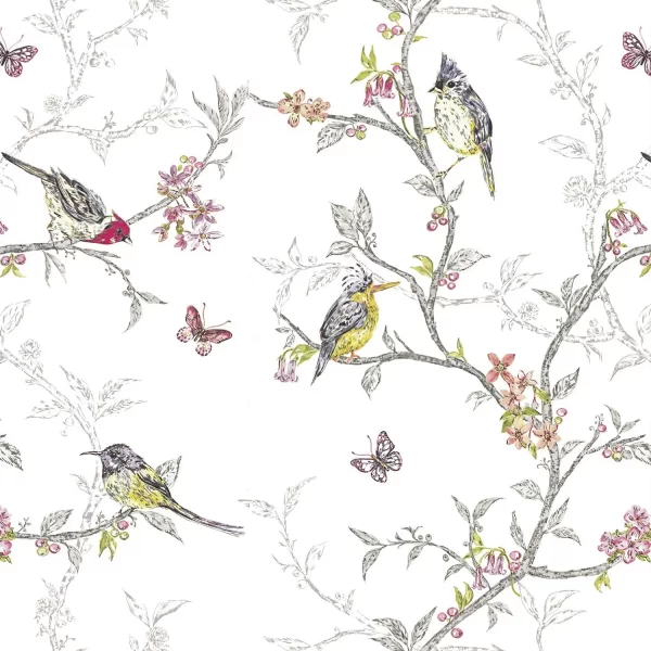 Papier Peint Oiseaux 2