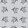 Papier Peint Tortue