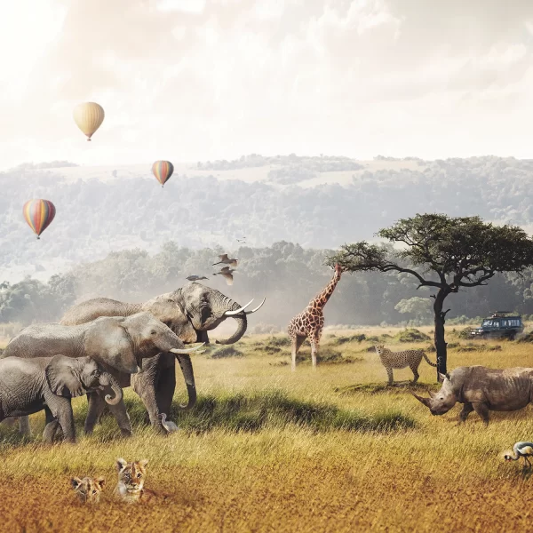 PP00114-WEB2 Papier Peint Jungle Enfants 4