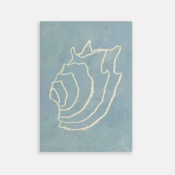 Abstrait Coquillage