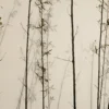PP00234-WEBd Papier peint Ombres de Bambou