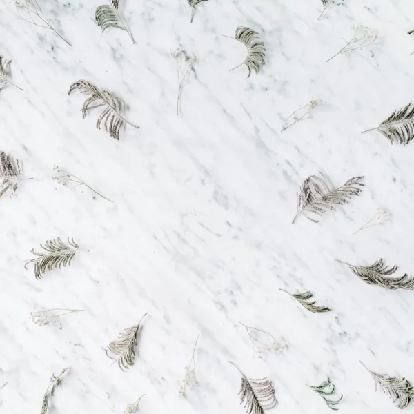 PP00236-WEBs Papier Peint Marbre Blanc