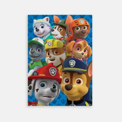 TAB00674-WEB TOILE PAW Patrol