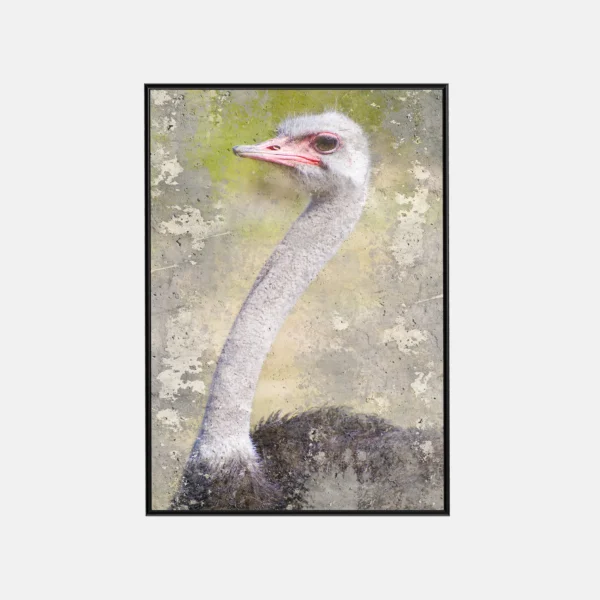 Granular Ostrich