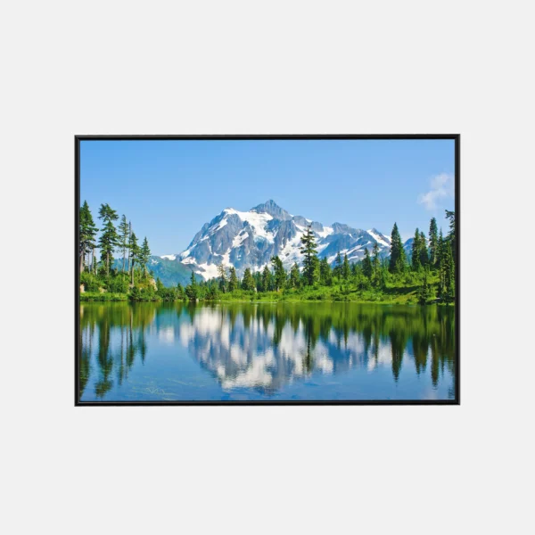 Mirror of the Monolith