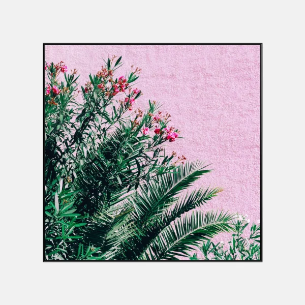 Tropical Flora